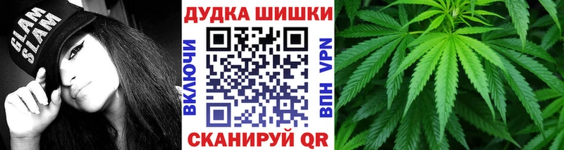 как найти   Алзамай  Канабис White Widow 